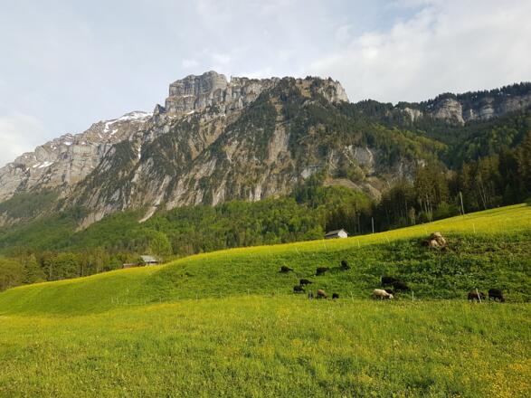 Im Vorsäß Enge in Mellau