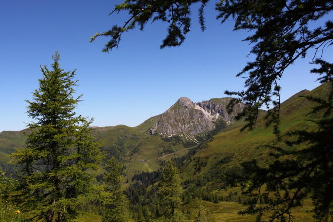 Blick zum Draugstein