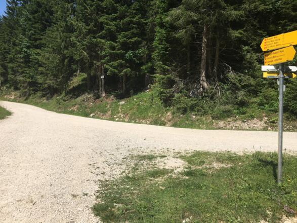 Abzweig Richtung Musauer Alm 