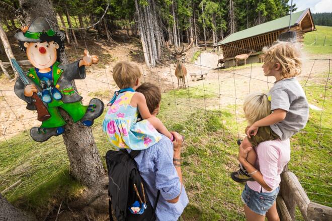 Montelino´s Wildfütterung