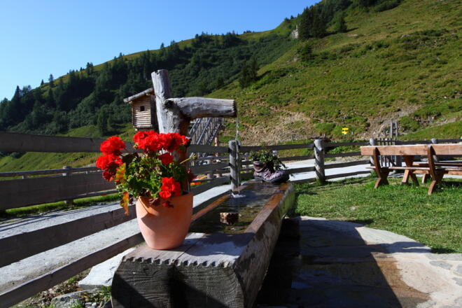 Brunnen auf der Aualm