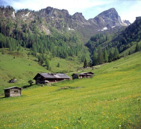 Aigenalm-Mandlhütte