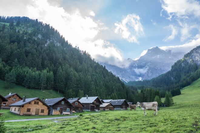 Alpsiedlung Nenzinger Himmel