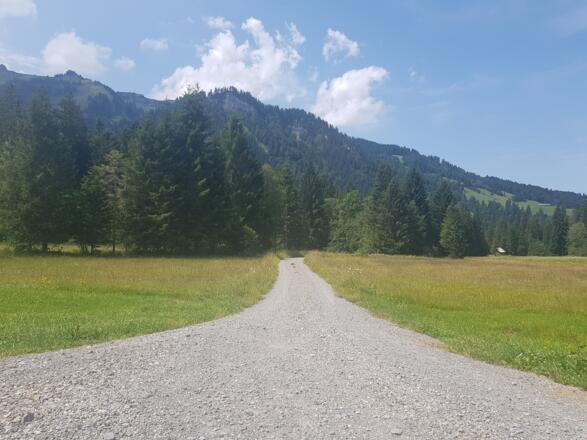 Güterweg Richtung Schönenbach