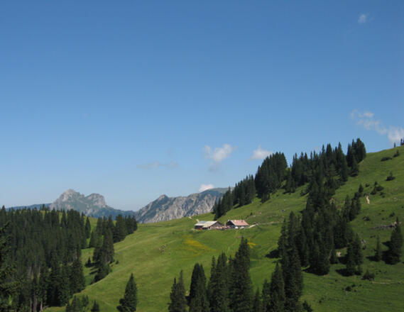 Nesselwängler Edenalpe