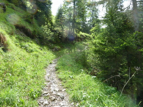 Pfad zur Ödenalpe