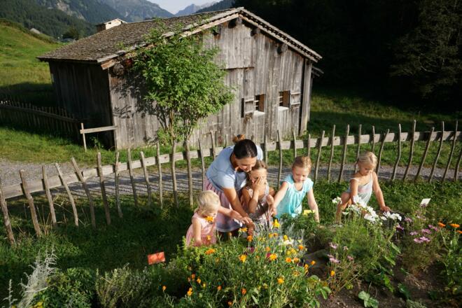 Kräutergarten Holdamoos