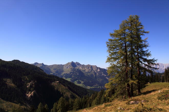 Aussicht auf der Großwildalm