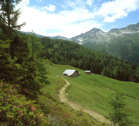 Hühnerkaralm