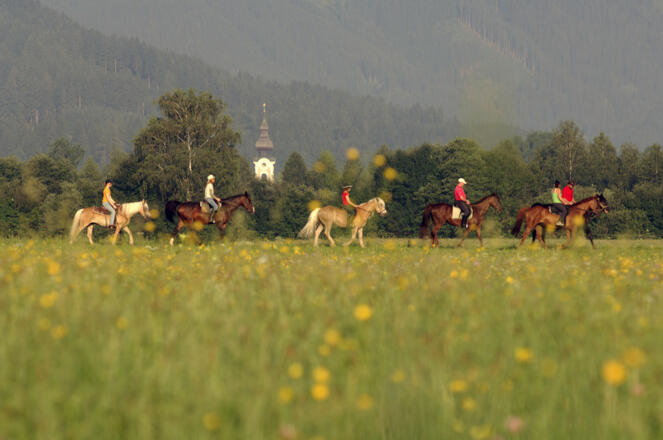 Reiten