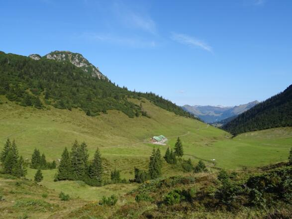 Blick zurück auf die Alpe Els