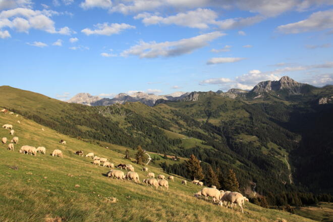 Auf der Henerbichlalm