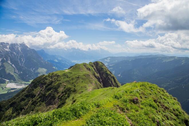 Spielberghorn (c) BMA