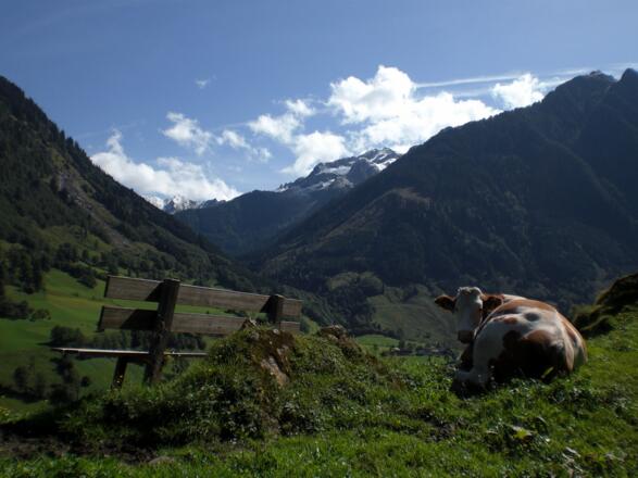Fuscher Höhenweg - Blick Richtung Weichselbachtal
