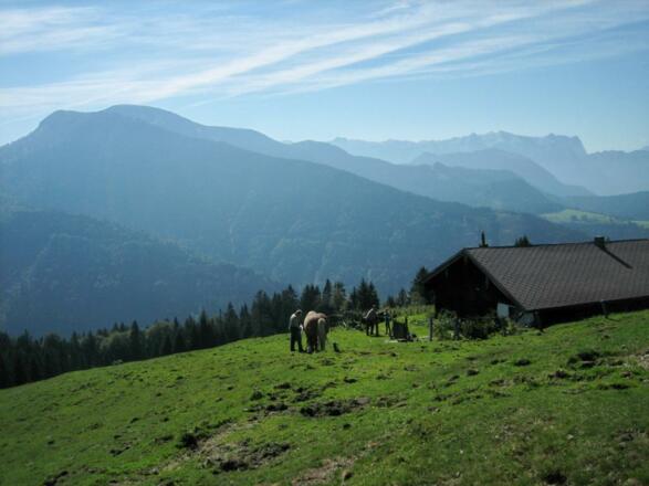 Die untere Gugelanalm