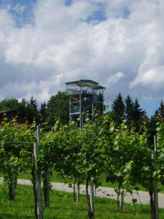 360° Panoramaturm Weingut Garber