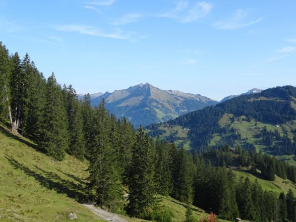 Tiefenseesattel mit Blick auf Raggal/Marul