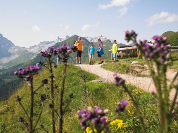 Noch auf dem Latschätzer Höhenweg - Beim Adlerblick