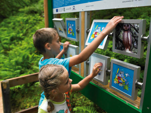 Golmi`s Forschungspfad - Natur-Memo