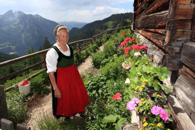 Blumenschmuck auf der Maurachalm