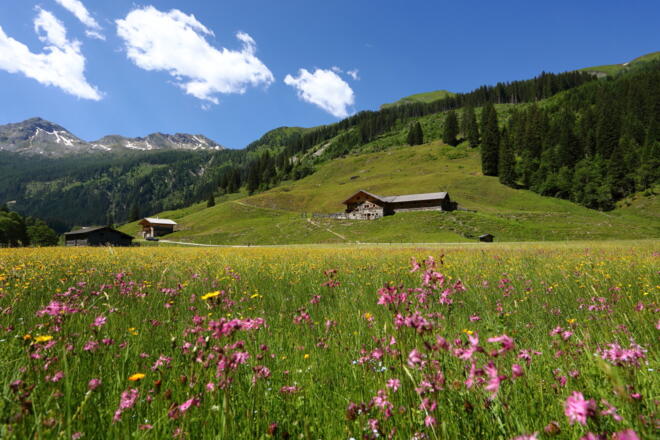 Hub-Grundalm in Hüttschlag