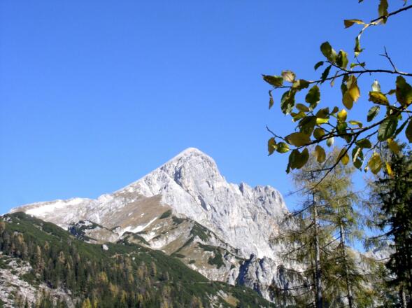 Rückblick vom Pyhrgasgatterl