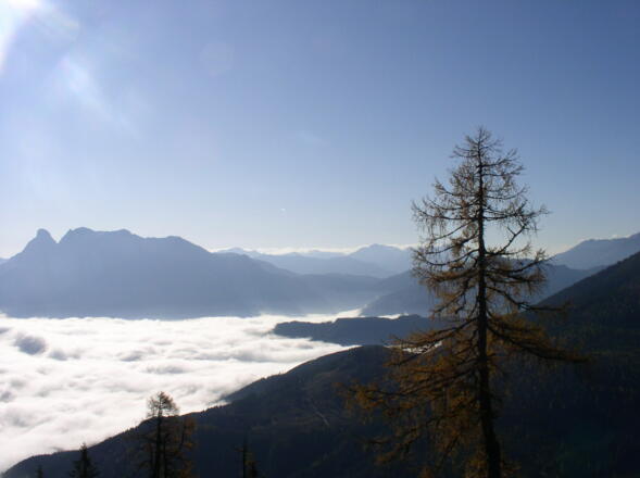 Nebel im Ennstal mit Gesäuse