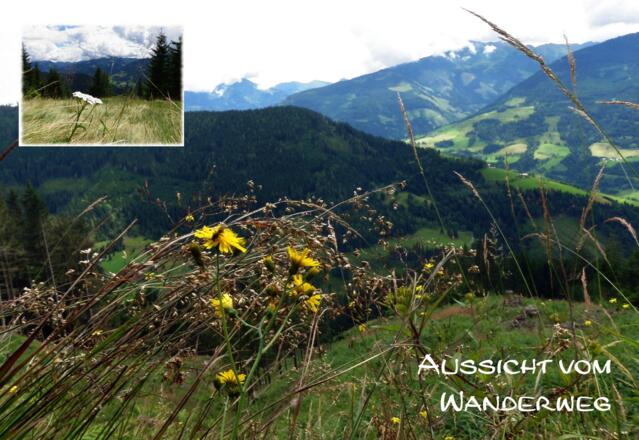 Aussicht vom Wanderweg