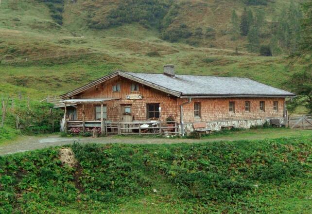 7 - Hütte bei Trauneralm - Edelweißalm 