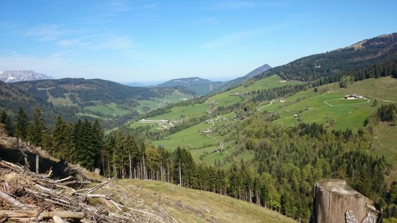 Aussicht von der Zisterbergalpe Richtung Gaissau