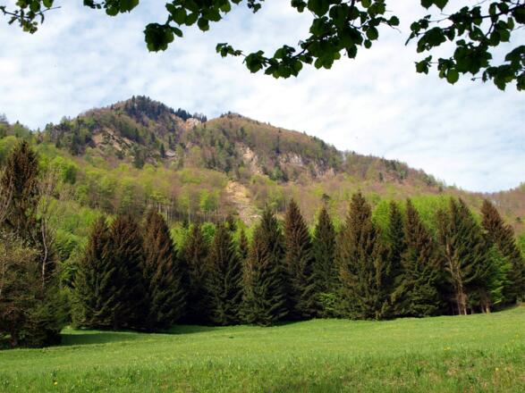 Tannscharten um 680m