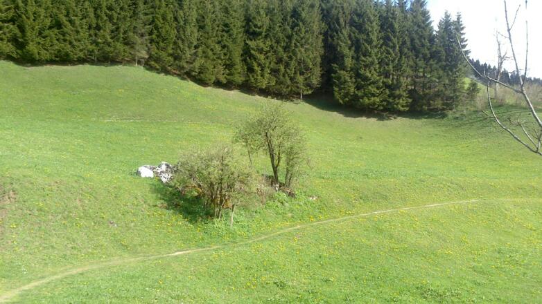 Streckenabschnitt Höhenweg