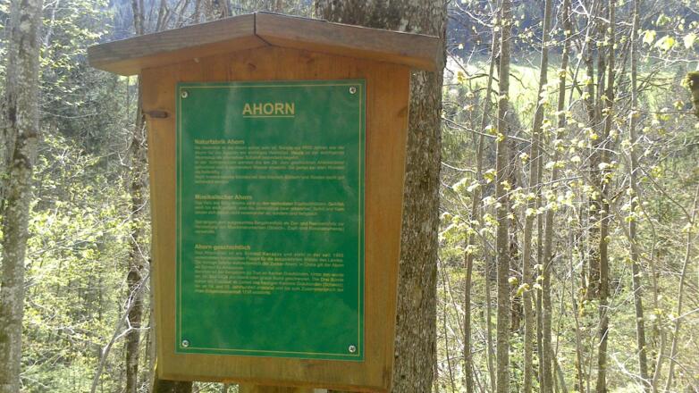 Auf dem Höhenweg werden die heimischen Baumarten beschrieben (c)TVB Annaberg-Lungötz