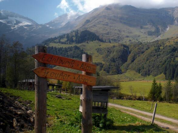 2 - Weg zur Trauneralm