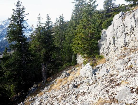 Querung zum Schnablwipfel westl. vom Grat