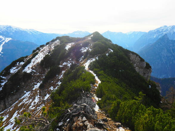 Kässenspitz 1810m vom Grat ~1865m