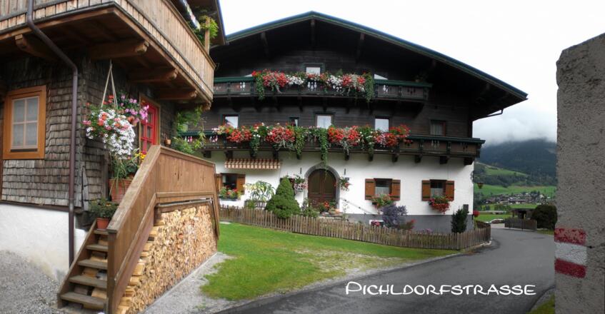 Pichldorfstraße