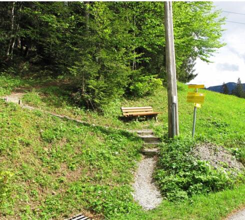 Treppensteig Richtung Kopfberg
