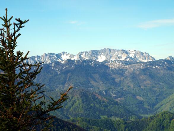 Sengsengebirge vom Tannscharten um 1200m gesehen