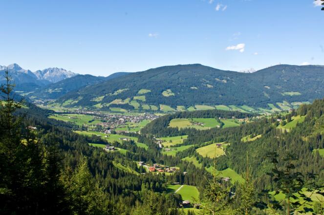 Panoramablick Ameisenberg