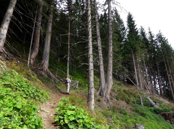 Wanderweg oberer Teil