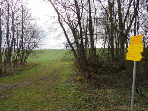 Der Feldweg führt nach St. Florian.