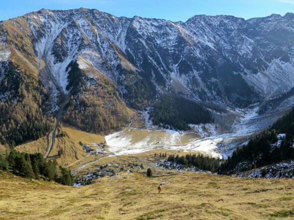 Durch das Gleirschtal erfolgt der Zusteig zur Pforzheimer Hütte. Hinten Freihut und Grießkogel.
