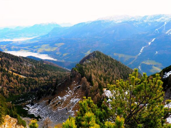 Schnablwipfel vom Prielanstieg um 1875m gesehen