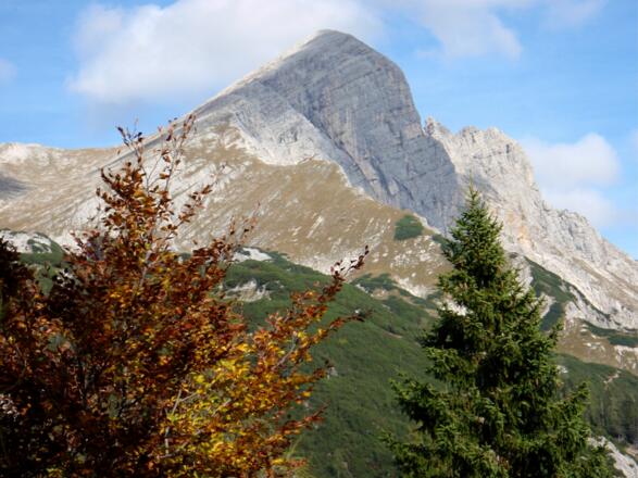Scheiblingstein vom Pyhrgasanstieg gesehen