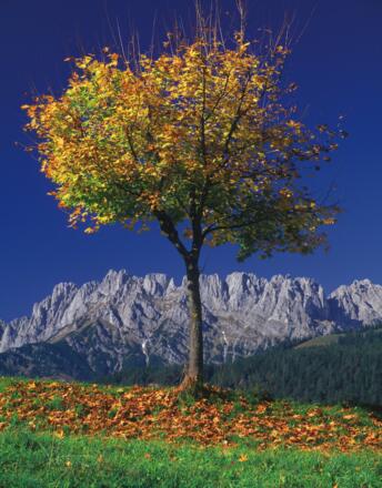 Herbststimmung entlang des Jakobwegs
