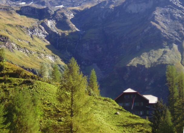 Trauneralm vom Wanderweg
