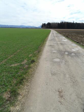 Ein endlos scheinender Weg führt nach Sierning.