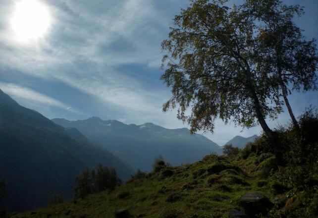 Wanderweg Schwarzenberghütte