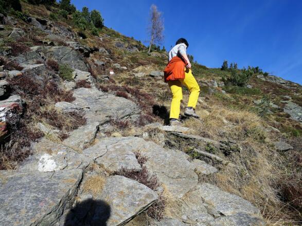 Der Bergweg zm Mutenkogel ist als ...